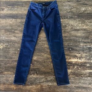 Hudson Jeans Dark Blue Skinny Jeans